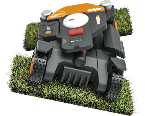 Robot tondeuse sur pelouse