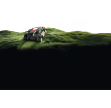 Robot tondeuse sur pelouse