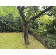 Apfelpflücker im Einsatz unter einem Apfelbaum im Garten