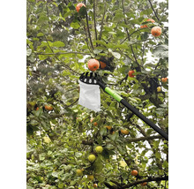 Apfelpflücker im Einsatz an einem Apfelbaum mit reifen Früchten.