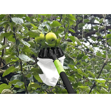Apfelpflücker im Einsatz an einem Apfelbaum