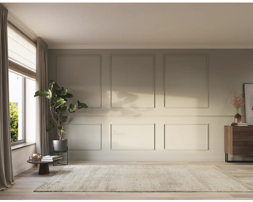 Salon lumineux avec tapis, commode et plante d'intérieur devant une fenêtre