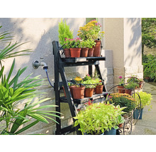 Blumen auf einem Regal und in Töpfen im Freien.