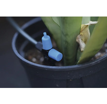 Bewässerungssystem-Tropfer im Blumentopf mit Pflanze