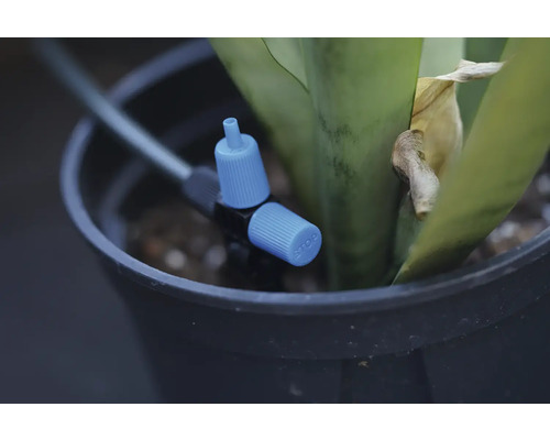 Bewässerungssystem-Tropfer im Blumentopf mit Pflanze