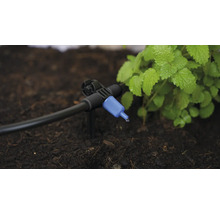 Tropfbewässerung mit Regulierungsventil zur Bewässerung von Pflanzen im Garten