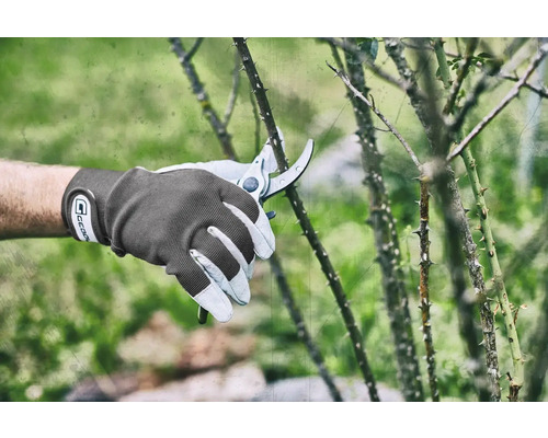 Gartenarbeit mit einer Gartenschere und Gartenhandschuhen an einem dornigen Strauch.