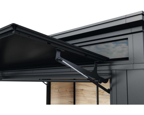 Vue détaillée d'une cabane de jardin avec toit ouvert