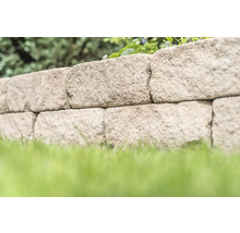 Mur en pierre naturelle avec pelouse dans le jardin