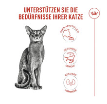 Katze mit den Hinweisen sehr appetitlich, gesundes Gewicht und gesunde Harnwege