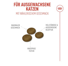 Katzenfutter für ausgewachsene Katzen mit maximalem Geschmack und knuspriger Textur