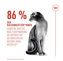 Abbildung einer Katze mit Textwerbung für Katzenfutter.