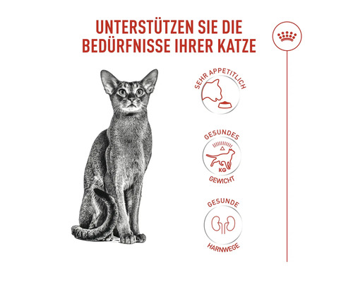 Katze mit den Hinweisen sehr appetitlich, gesundes Gewicht und gesunde Harnwege