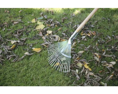 Râteau à feuilles avec manche en bois sur une pelouse avec des feuilles