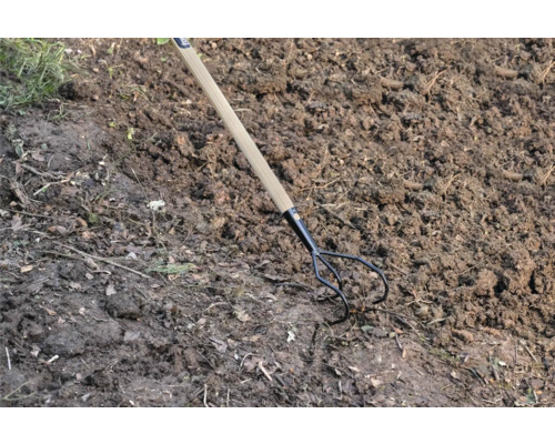 Dreizack-Gartenkralle mit Holzgriff im Gartenboden