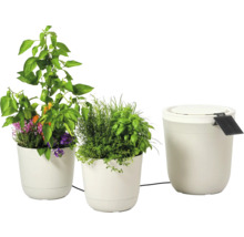 Zwei Pflanztöpfe mit Kräutern und ein Wasserbehälter für die Bewässerung