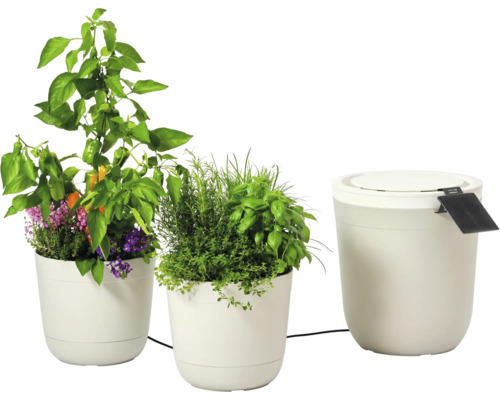 Zwei Pflanztöpfe mit Kräutern und ein Wasserbehälter für die Bewässerung