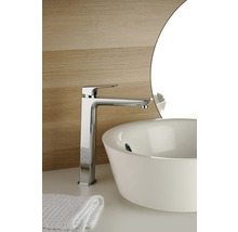 Photo d'une salle de bains avec un mitigeur de lavabo en métal et un lavabo à poser rond