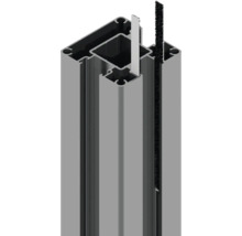 Aluminiumprofil mit Dichtung und Bürste