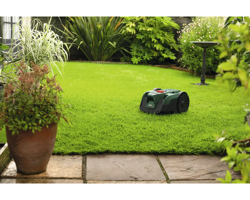 Robot tondeuse sur pelouse dans le jardin