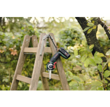 Akku-Gartensäge auf Holzleiter im Garten