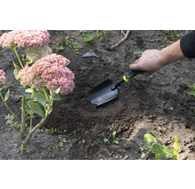 Scène de jardin avec une main plantant une pelle dans le sol