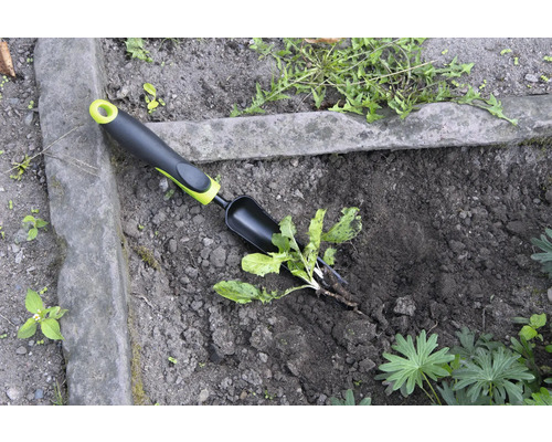 Gartenszene mit Unkrautstecher zum Entfernen von Unkraut