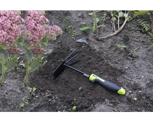 Gartengerät mit Rechen und Hacke im Beet neben einer Pflanze