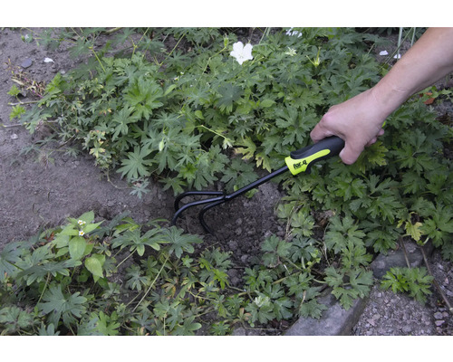Scène de jardinage avec une personne utilisant une griffe de jardin de la marque for_q pour travailler le sol.