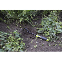 Griffe de jardin dans le parterre de fleurs entre les plantes