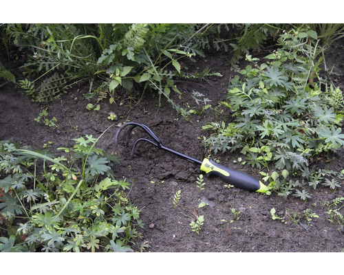 Griffe de jardin dans le parterre de fleurs entre les plantes