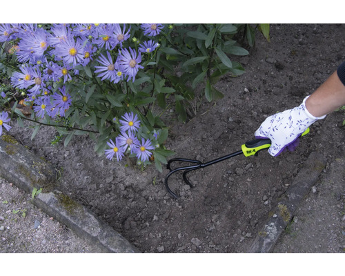 Jardinier ameublissant le sol avec un cultivateur à côté de fleurs mauves.
