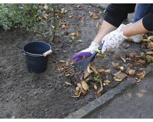 Gartenarbeitsszene mit Laubrechen, Gartenhandschuhen und Eimer zum Laubsammeln