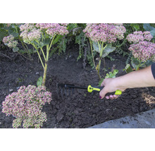Eine Hand hält einen Rechen zur Gartenarbeit neben Pflanzen.