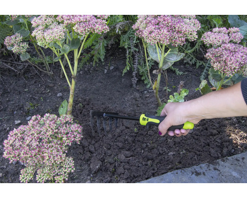 Eine Hand hält einen Rechen zur Gartenarbeit neben Pflanzen.