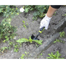 Image de jardin avec main, gant de jardin et désherbeur en utilisation.