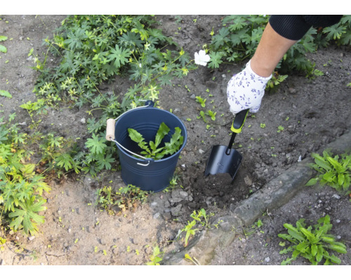 Une personne enlève les mauvaises herbes d'un jardin avec une pelle, les mauvaises herbes sont collectées dans un seau