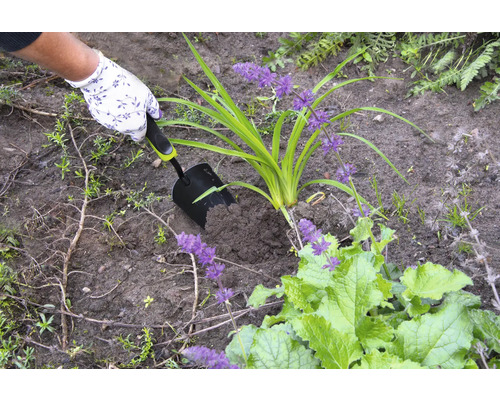 Une personne plante une plante dans la terre avec une pelle à main.