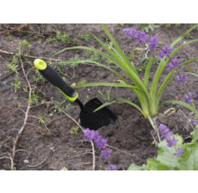 Scène de jardin avec une petite pelle de jardin à côté d'une plante à fleurs violettes.