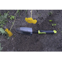 Transplantoir avec inflorescence jaune dans un parterre de jardin