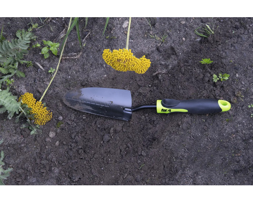 Transplantoir avec inflorescence jaune dans un parterre de jardin