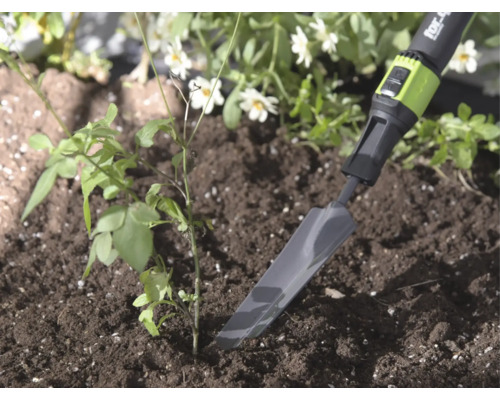 Transplantoir étroit en métal for_q dans la terre à côté d'une petite plante, ambiance de jardin claire et naturelle.
