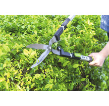 Taille-haie manuel for_q taillant une haie verte dans un jardin.