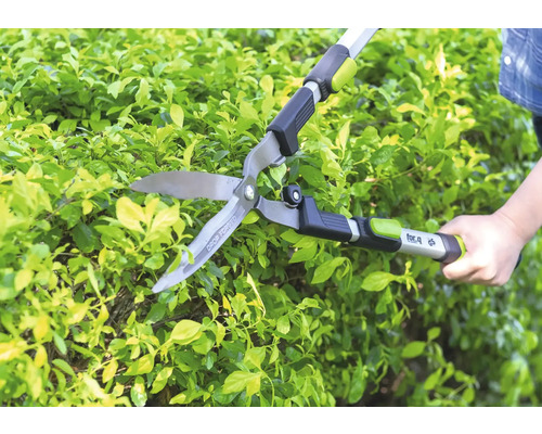 Taille-haie manuel for_q taillant une haie verte dans un jardin.