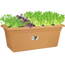Elho Pflanzkasten mit Kräutern und Salat, rechteckig, Kunststoff, für Balkon und Garten.