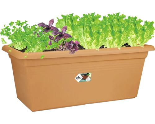 Elho Pflanzkasten mit Kräutern und Salat, rechteckig, Kunststoff, für Balkon und Garten.