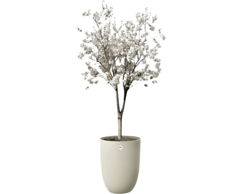 Arbre artificiel avec fleurs blanches dans un pot de fleurs elho avec structure à rainures verticales.