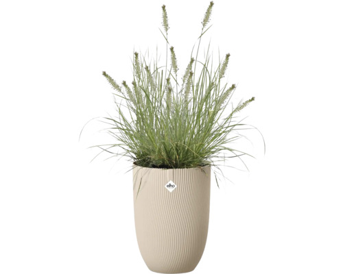 Herbe ornementale dans un pot de fleurs Elho haut avec une texture verticale ondulée. Elho Logo.