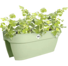 Jardinière de balcon elho pour rambarde garnie de lierre.