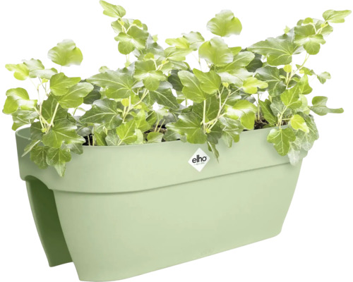 Jardinière de balcon elho pour rambarde garnie de lierre.